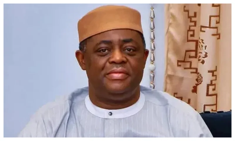 ‘Nigerians tortured, murdered in South Africa won’t be tolerated anymore’ — Fani-Kayode