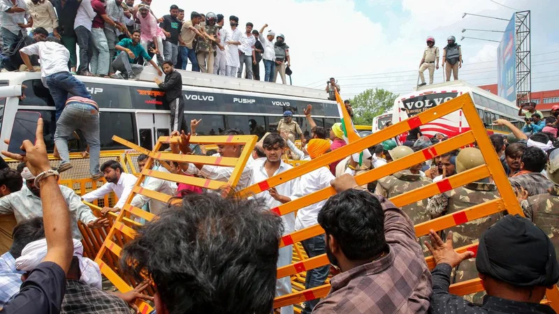 Madhya Pradesh hikes moong procurement cap to 60% as farmers protest