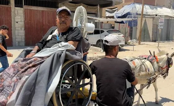 Gaza: Dialysis patients face grueling hospital journey by donkey cart