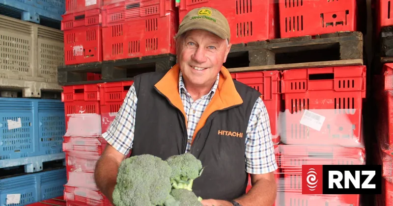 Hawke's Bay growers abandon bid to save McCain factory after equipment pulled