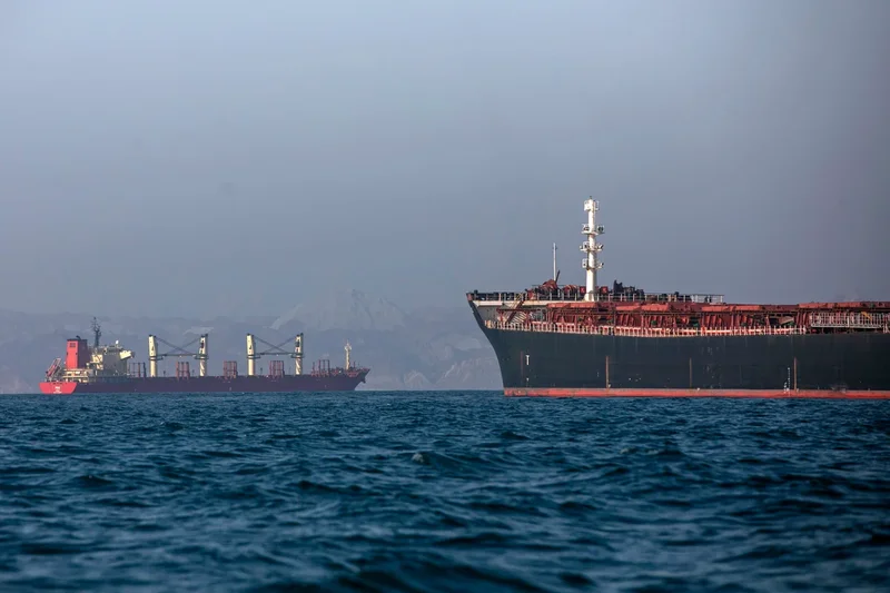 Hormuz Strait closure could fuel unprecedented spread of invasive species in Gulf region, scientists warn
