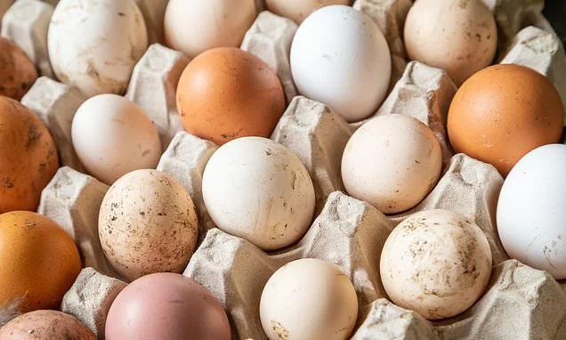 Free-range eggs aren't all they're cracked up to be! Organic options are TWICE as bad for the environment as those from chickens living in cages, study finds