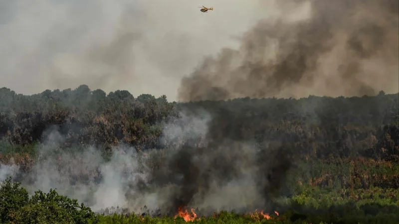 France, Spain make headway against wildfires but new heatwave looms