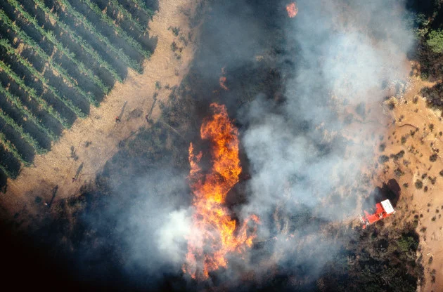 Wildfires in France and central Spain force evacuation of 200,000 people