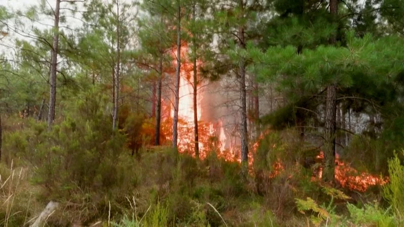 Firefighters battle blaze advancing towards Bordeaux