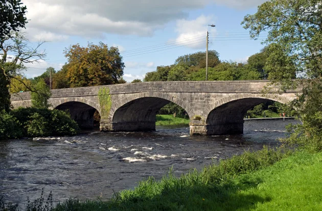 IFI following 'definite line of inquiry' as number of dead fish in Cavan estimated to be 7,500