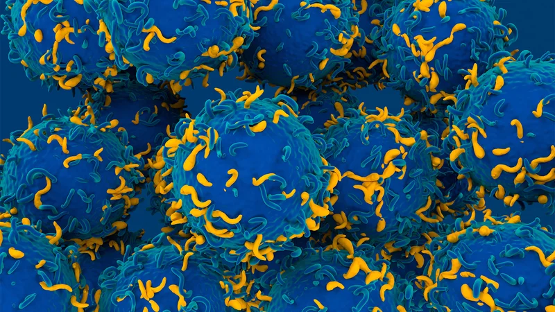 CAR T-Cell Therapy in Pregnant Autoimmune Patients: Safe for Baby?