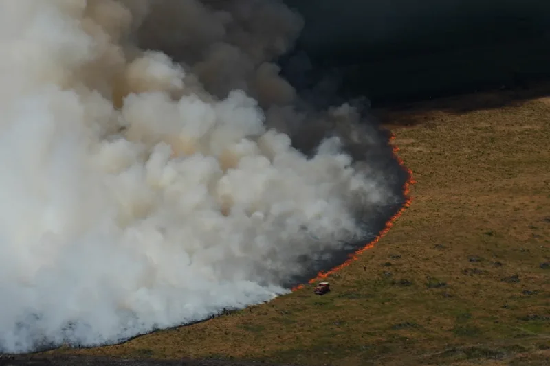 In charts: Why the Europe wildfires are so severe and hard to put out