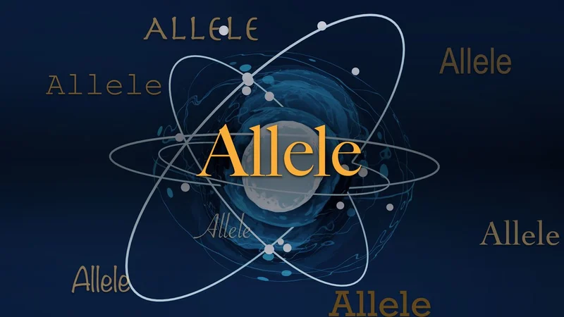 Science word of the day: Allele