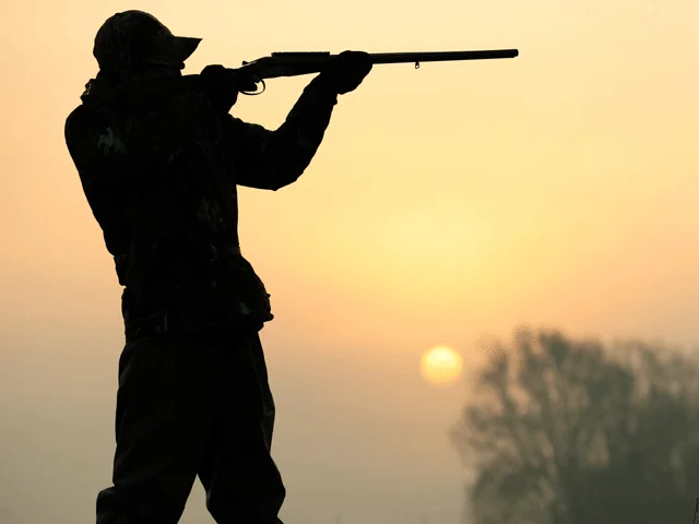 Officials in firing line over illegal foreigners' hunts