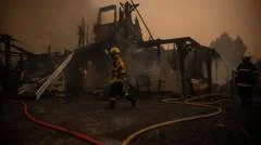 France orders evacuation of peninsula as hundreds flee wildfires by boat