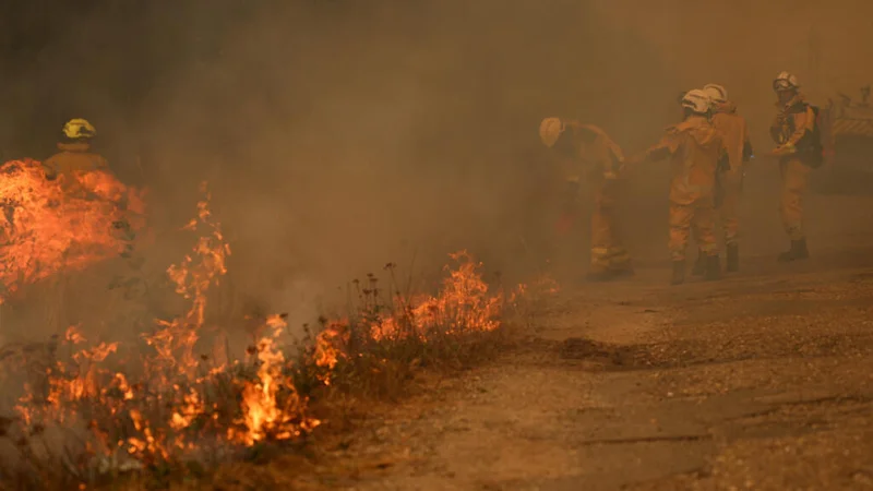 Bordeaux under threat as France, Spain battle 'unprecedented' wildfires