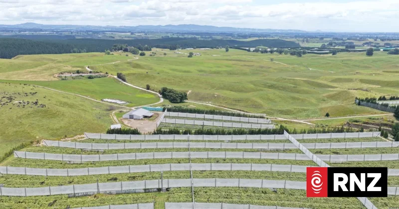 Mormon church agri-investor buys second kiwifruit orchard in New Zealand