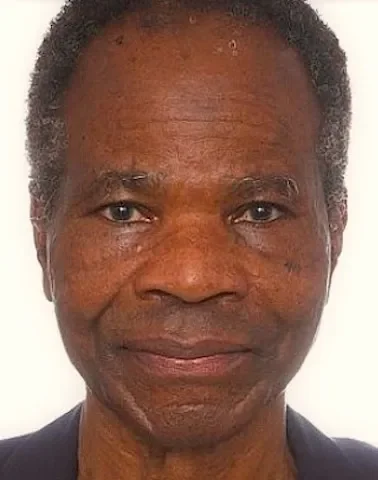 Nigeria’s unending scandals: Time for a step aside option, By MJ Balogun