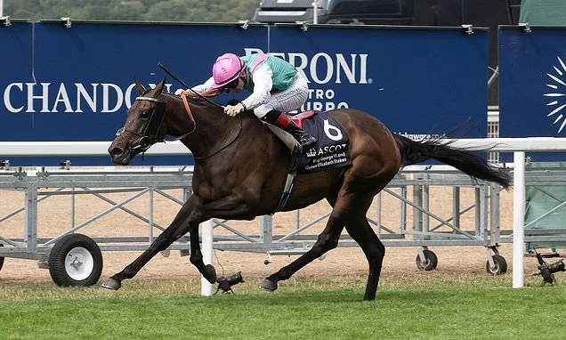 Lucky punter turns £2 bet into £52,000 winnings after correctly backing SEVEN winners at Ascot and York races