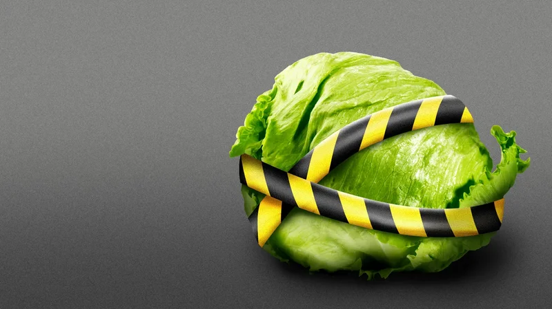 Cyclospora exposes weak links in America's food safety system
