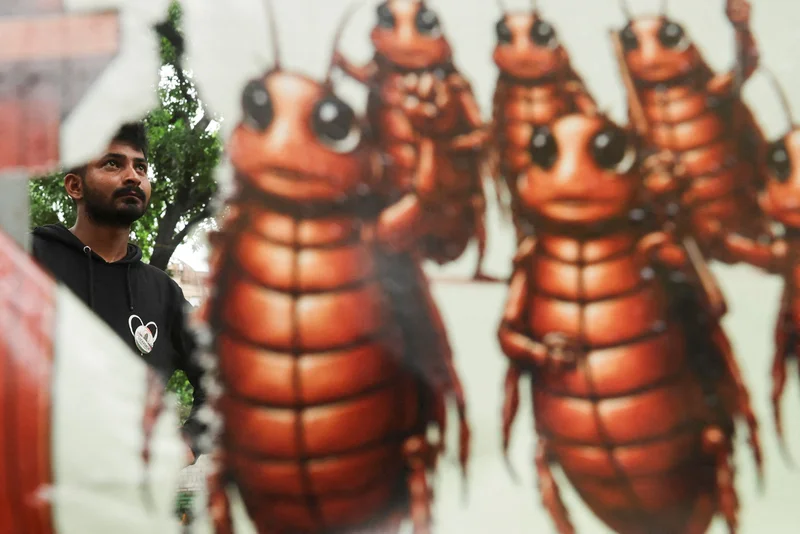 Who are the ‘cockroaches’ behind the mass demonstrations in India, and what do they want?