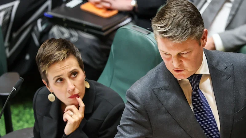 ‘Heart of corruption’: Unionists, integrity experts and industry lay out royal commission wish lists