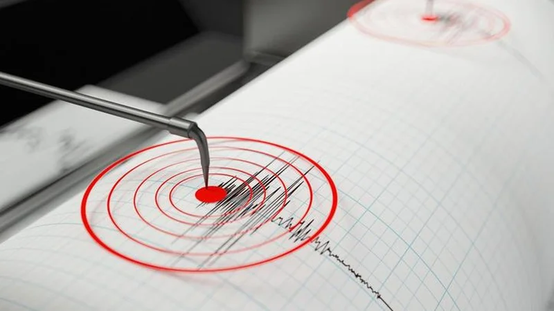Peechi tremors: Collector seeks detailed study, more seismographs