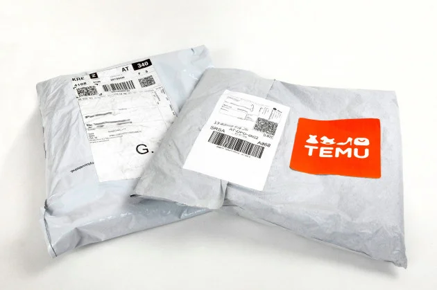 Temu hindered inspection at premises in Dublin, EU says