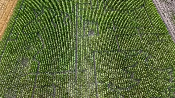 Hungary opens fairy tale themed 4.5-hectare corn maze for visitors to explore