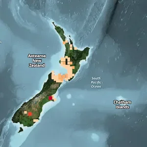 Magnitude 4.6 earthquake near Porirua felt across North Island and South Island