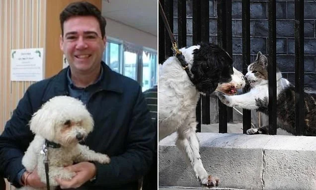 Burnham says he will not move his 'angry little' dog Axel into Downing Street as he 'wouldn't get on' with Larry the cat