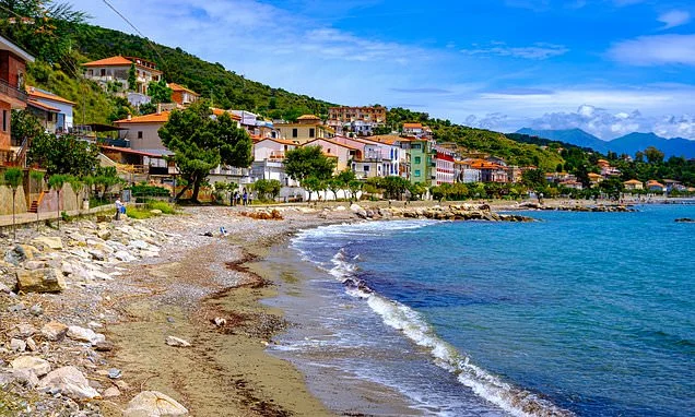 Tourist is seriously injured with 'extensive blood loss' after 'deep bite' while swimming in the Med off Italian holiday resort
