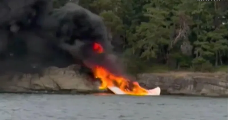 Video shows plane slamming into rocky island off Washington state, all 11 on board survive