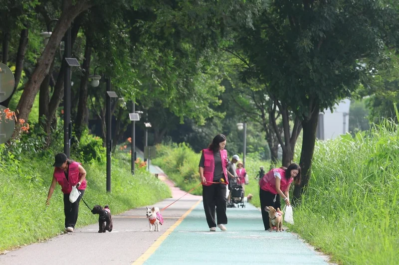 Paws on pavement: Gangnam's pups turn daily walks into litter patrol