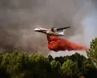 I study the boreal forest. This summer wildfires came for my home | Julee Boan