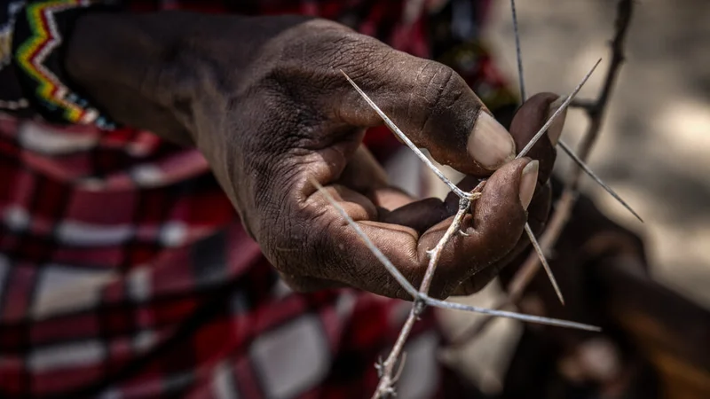 Opinion: Ten years after WHO recognition, mycetoma remains one of the world’s most neglected diseases