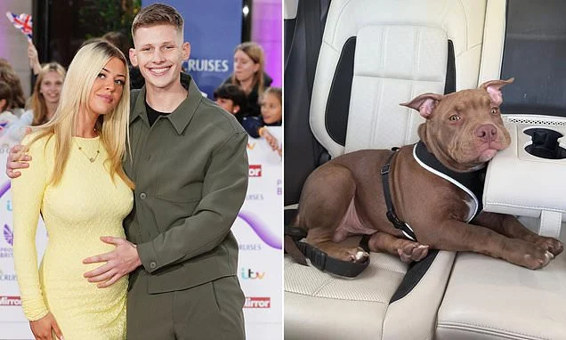 Freddy Brazier's ex-girlfriend Holly Swinburn claims dog who attacked TV star was 'mistreated' as she begs for help to find pet 'a good home' ahead of euthanasia deadline