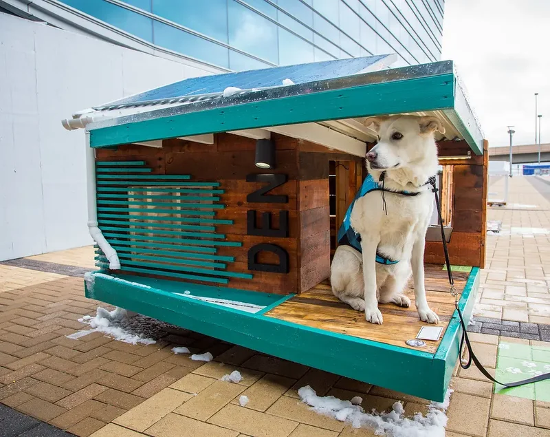 Mansions are going to the dogs