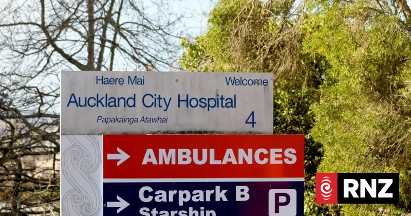 Patient fell trying to kill cockroaches at Auckland Hospital, fleas hit wards