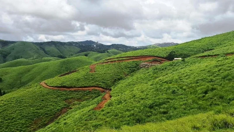 Encroachment on government land on the rise in Idukki’s Wagamon