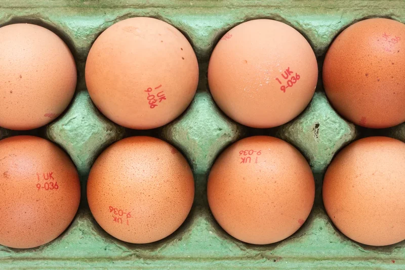 Salmonella outbreak linked to recalled eggs leaves nearly 100 people ill