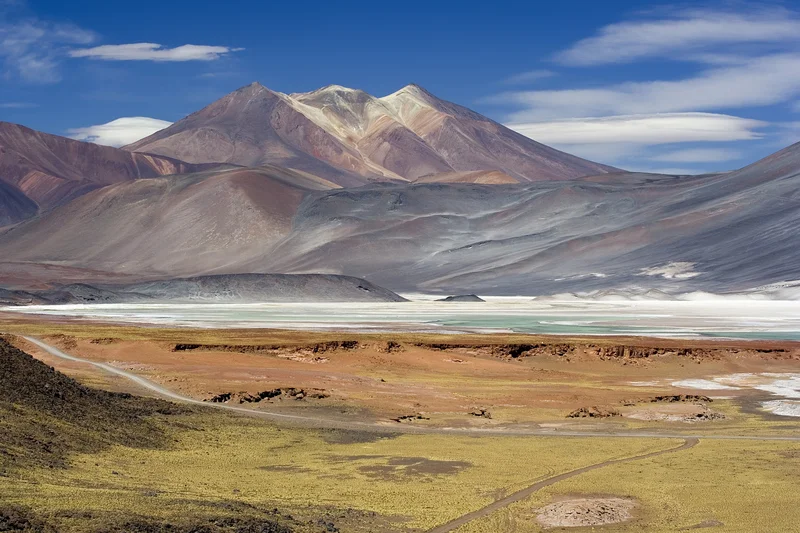 Chile’s Iconic Wetlands to Visit and Those Facing Extinction