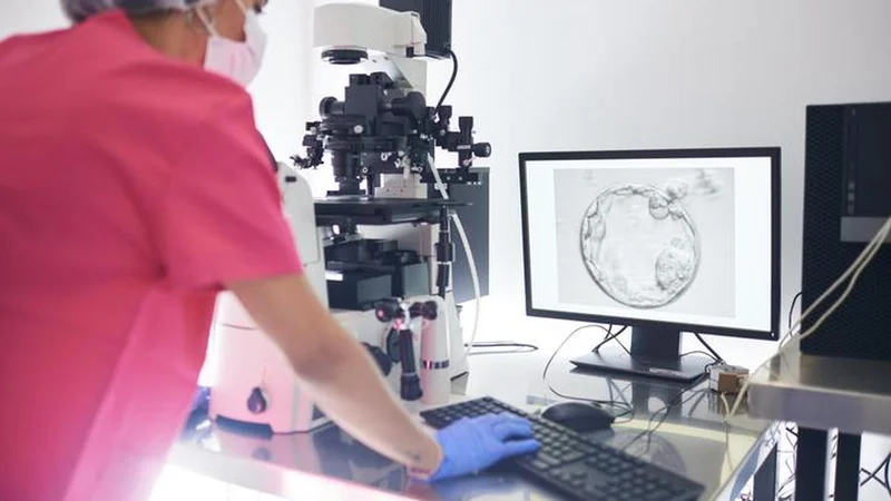 There are many misconceptions about women’s reproductive health: here’s what you need to know about egg reserve, fertility and ovarian ageing