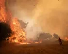 A ​decade on the Iberian ​frontline​ has shown me that Europe’s ​climate ​emergency​ is ​impossible to ​deny