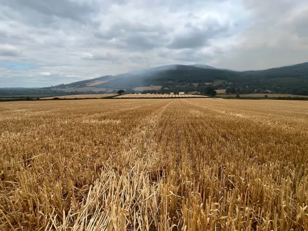Slievenamon fire may be extinguished in two days, says Tipperary fire service