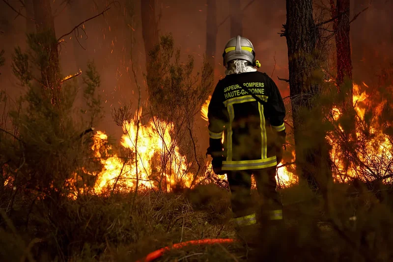 Wildfires burn near France’s Bordeaux as drought puts vineyards under pressure
