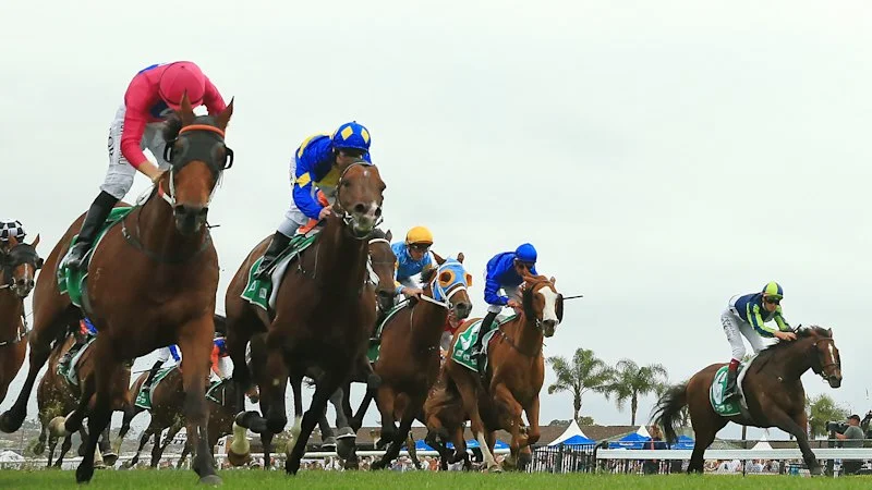 Race-by-race preview and tips for Illawarra Grange on Thursday