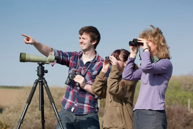 The best holiday destinations for bird-watching – abroad and in the UK