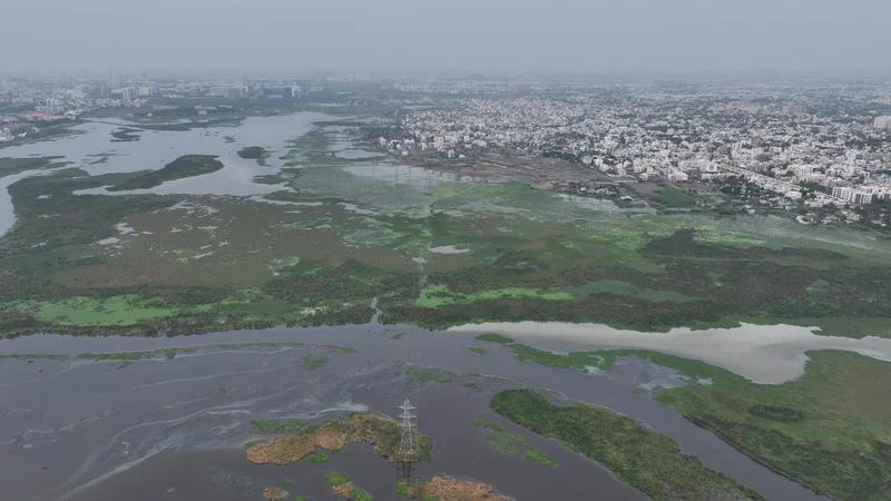 Brigade moves Madras High Court against revocation of environmental clearance for Pallikaranai project