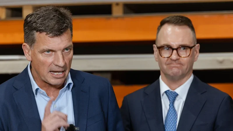 Divided Liberals need a coalition with themselves, not One Nation