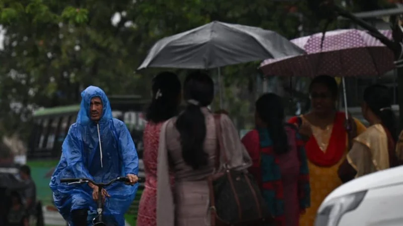 Monsoon revives in Kerala; moderate rainfall across State