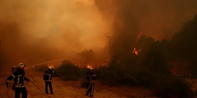 Tens of thousands flee forest wildfires in France and Spain