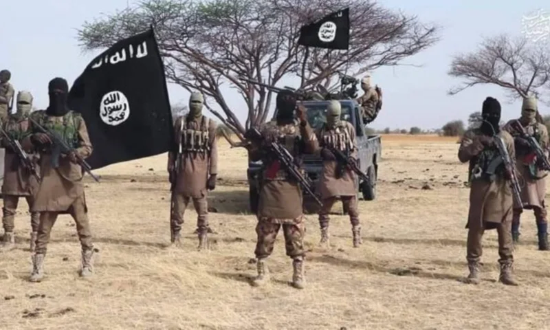 ISWAP suffers major blow as senior finance chief surrenders, 46 terrorists lay down arms