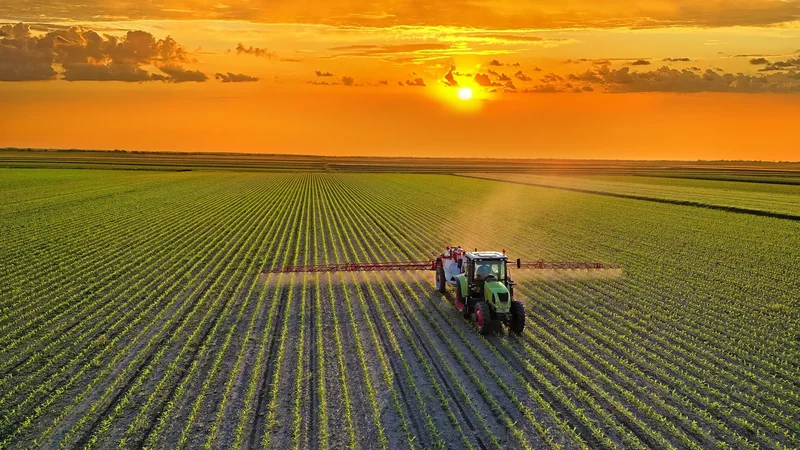 A healthier global diet could cut farm emissions by 85%